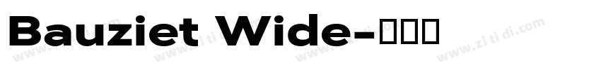 Bauziet Wide字体转换